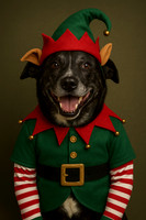 Jess Elfpe