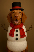 Valor Snowmanpe